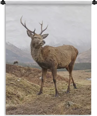 Produktbild von MuchoWow® Wandteppich Wandbehang Hirsche - Tiere - Berge 120x160 cm Tapisserie Dekoration Wandtuch - Wohnzimmer - Moderne