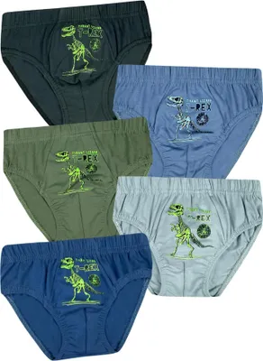 Produktbild von 5 Jungen Slips Baumwolle Unterhosen Unterwäsche - T-Rex