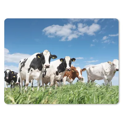 Produktbild von MuchoWow® Mauspad Mousepad Kühe - Landleben - Weide - Natur - Tiere 23x19 cm - Mousepads - Maus Mat - Pad - Mausunterlage - Schreibtischunterlage - Mauspad