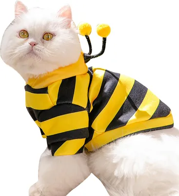 Produktbild von Katzen-Kapuzenpullover, stilvoll, niedlich, Tier-Herbst-Winter, warm, bezaubernd, Kostüm für Katzen, Kätzchen, Welpen, klassisch, Biene, M (empfohlene