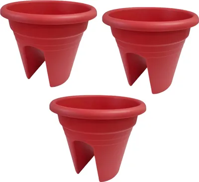 Produktbild von Balkongeländertopf Mediterran 2-fach - Ø 30 cm - Himbeere - 3 Stk