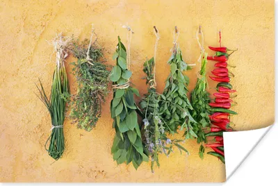 Produktbild von MuchoWow® Poster Mediterrane Kräuter 120x80 cm - Bilder