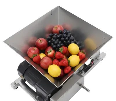 Productafbeelding van Elektrische machine voor het verkleinen van fruit, 60W vermogen, 4 liter capaciteit, verwerkingscapaciteit van 20 kg per uur, gemaakt van voedselveilig roestvrij staal, met voor- en achteruitfunctie
