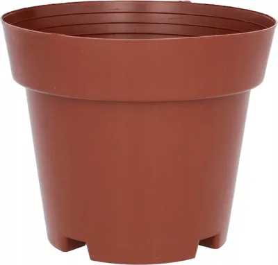 Zdjęcie produktu dla Komplet 5 doniczek pp 14,5 x 12 cm  Garden Line