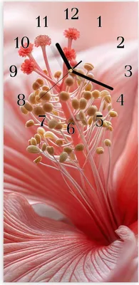 Produktbild von Wanduhr aus Glas mit Motiv Blumenzauber- 30 x 60 cm - inkl. Aufhängesystem