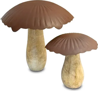 Produktbild von 1.05 Mango Holz Pilze im 2er Set - ca. 15x15 cm + 10x9 cm - Pilz aus Mangoholz und Rost