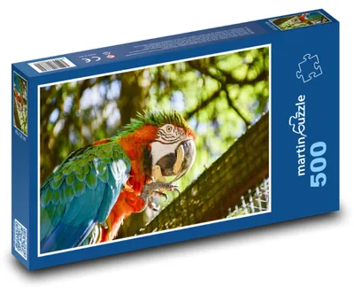 Obrázek produktu pro Puzzle 500 Barevný papoušek v lese - martinpuzzle