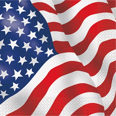 Obrázek produktu pro 16 USA Servietten