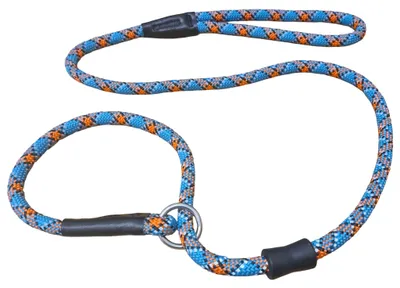 Trainingsleine für Hunde, 1,2 m, reflektierend, Orange/Blau
