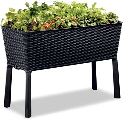 Produktbild von Keter Garten-Blumentopf "Easy Growing" 120 L 229098
