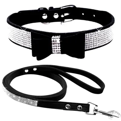 Image de Collier de luxe pour chien avec strass et laisse - Cuir suédé noir