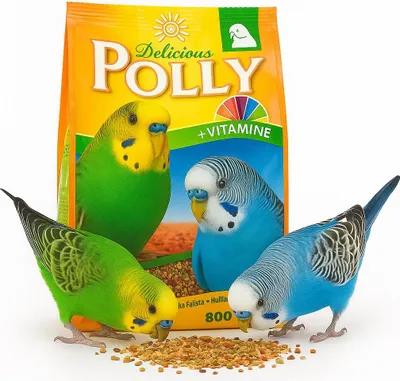 Zdjęcie produktu dla Vitakraft Polly Delicious - Pokarm dla Papugi Falistej 800g