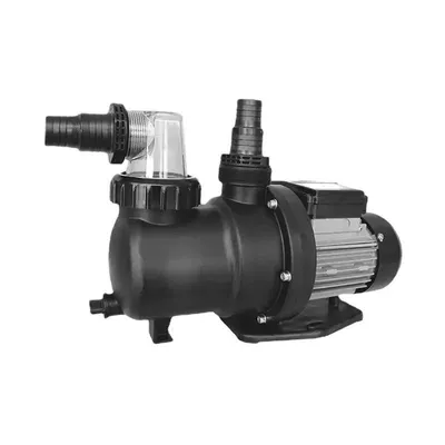 A black water pump with silver motor housing and a clear filter housing, isolated on a white background.