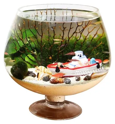 Immagine prodotto di Piccolo acquario in vetro per animali domestici