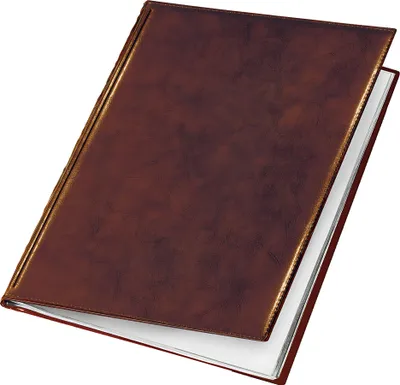 Produktbild von Veloflex Sichtbuch A4 Exquisit braun m. 10 Hüllen