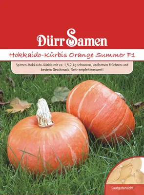 Produktbild von Hokkaido-Kürbis Sunshine F1 | Hokkaido-Kürbissamen von Dürr Samen