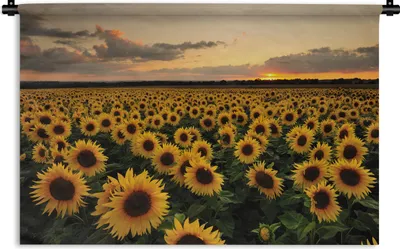 Produktbild von MuchoWow® Wandteppich Wandbehang Sonnenblumen bei Sonnenuntergang 60x40 cm Tapisserie Dekoration Wandtuch - Wanddekorationen