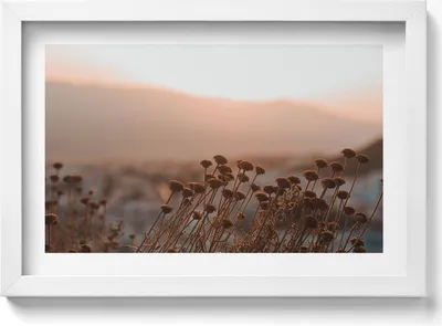 Produktbild von Boho romantische Graslandschaft– Wandbild mit Rahmen – Gerahmtes Bild  – Wanddekoration – 30x20 cm –  Weiß Rahmen
