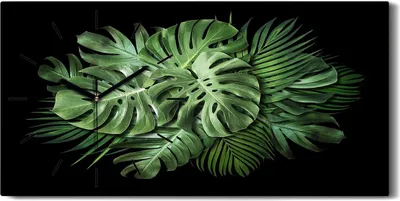 Produktbild von Leinwand Uhr Küche Wohnzimmer Bild 60x30 Gemälde Blätter Monstera Pflanze - schwarze Hände