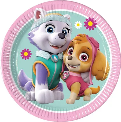 Image de PSI PATROL Assiettes en carton Skye et Everest, 20cm, 8pcs.