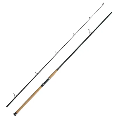 Produktbild von WFT Meeresrute Charisma Power II (50-190 g)
