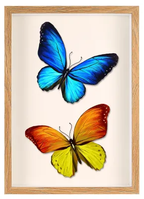 Produktbild von 3D-Fotogestelle im Format A4, zur Befüllung, mit einer Tiefe von 3,5 cm, mit Acrylglas