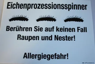 Produktbild von Warnschild - Eichenprozessionsspinner... - Gr. ca. 25 x 15 cm - 309843