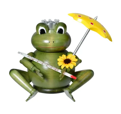 Produktbild von Wetterfrosch (17cm) Räuchermann von KWO