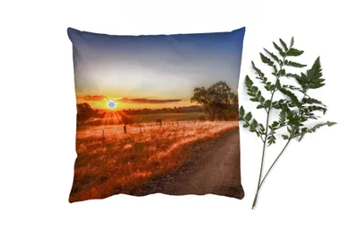 Produktbild von MuchoWow® Zierkissen Sofakissen Wohnzimmer Dekokissen 60x60 cm Sonne - Gras - Baum - Natur - Sitzfläche - Foto Polster