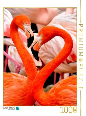 Produktbild von CALVENDO Puzzle Flamingo | 1000 Teile Lege-Größe 64x48cm Foto-Puzzle für glückliche Stunden