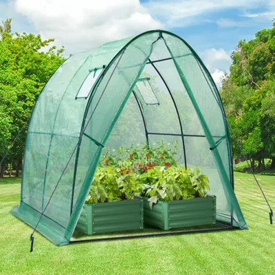 Obrázek produktu pro Fóliový skleník tunelový - PE fólie - 180 x 180 x 200 cm - Zelená - Pro zeleninu, byliny a rajčata