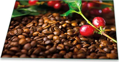Produktbild von Herdabdeckplatte Glaskeramikfeld Spritzschutz Glas Universal Deko 80x52 Kaffee Braun