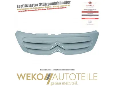 Produktbild von Diederichs Kühlergrill Citroen C3, 05-09