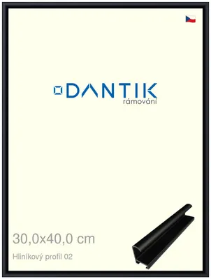 Zdjęcie produktu dla Rama DANTIK 30x40 | Profil ALU 7002 Czarny mat (Plexi Clear)