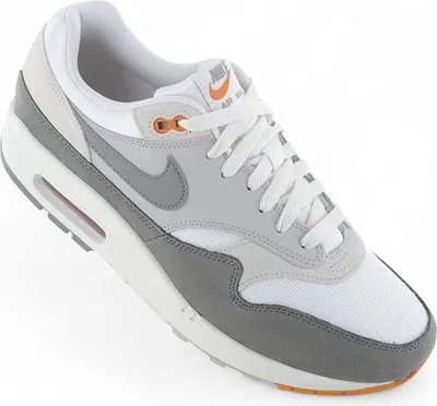Produktbild von Nike Air Max 1 Light Iron Ore Flat Pewter - EU 44