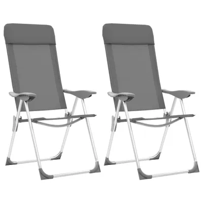 Zdjęcie produktu dla vidaXL Składane krzesła kempingowe 2 szt. Aluminium szary