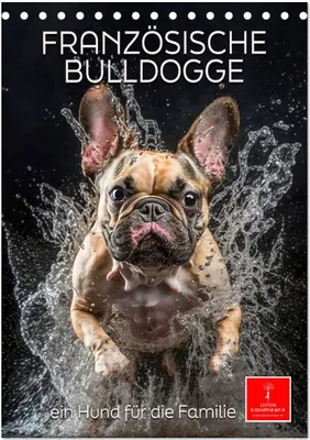 Produktbild von Französische Bulldogge - ein Hund für die Familie (Tischkalender 2025 DIN A5 hoch), CALVENDO Monatskalender