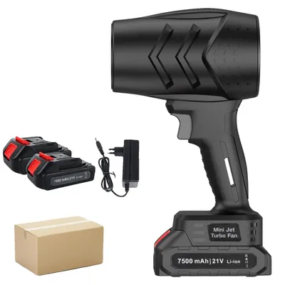 Immagine prodotto di Soffiatore a batteria, elevate prestazioni, design portatile, 2 batterie, nero