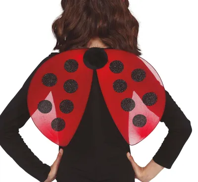 Productafbeelding van Marienvlinder, rood en zwart, glinsterend, carnavalsaccessoire, insecten kostuum, accessoires, creatief, kleurrijk, vrolijk, kinderfeest, plezier, beleving, kleur: rood