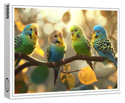 Image de Puzzle haut de gamme raxxa « Rencontre de perruches », 1 000 pièces