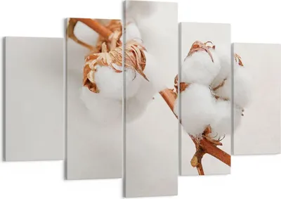 Produktbild von Bild auf Leinwand - Leinwandbild - 5 Teile - Baumwolle Makro Zweig - 150x100cm - Wand Bild - Wanddeko - Wandbilder - Leinwanddruck - Bilder - Wanddekoration - Leinwand bilder - EA150x100-4835