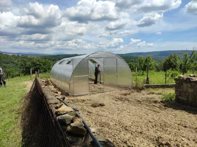 Produktbild von Garten Dream Polycarbonat Gewächshaus "Palace" 4x8m aus Stahl, mit 4mm Polycarbonat. Mit Großen Doppeltüren auf jeder Seite