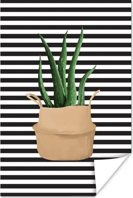 Produktbild von MuchoWow® Poster Pflanzen - Aloe Vera - Pflanzgefäß 80x120 cm - Papierdruck