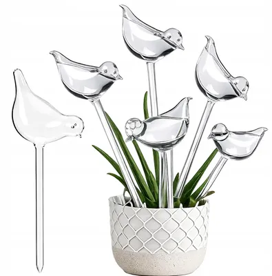 Produktbild von Bewässerungskugeln Set für Pflanzen - 5 Stück - Vogelform - Wasserspender Automatisch - Transparent