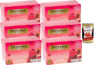 Produktbild von Italian Gourmet Früchtetee Himbeere & Granatapfel – 6 x 20 Teebeutel, koffeinfrei, aromatisierter Beeren-Fruchttee, heiß oder kalt als Eistee, Vorratspack + Italian Gourmet Polpa