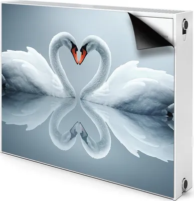 Produktbild von Magnet Heizkörper Heizkörper-Abdeckung Heizkörperabdeckung 80x60 cm - Schwäne
