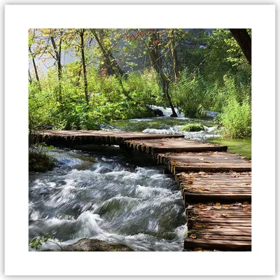 Produktbild von Poster - Poster ohne Rahmen - Park natur grün bäume - 40x40 cm - Wand Bild - Wanddeko - Wandbilder - Kunstposter - Wandposter - Bilder - Kunstdruck - Wanddekoration - Wandbild - P2XAC40x40-0356
