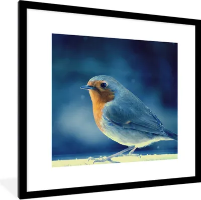 Produktbild von MuchoWow® Gerahmtes Poster Rotkehlchen - Blau - Schnee 40x40 cm - Poster mit Schwarzem Bilderrahmen Wandposter Rahmen Foto Bilder - Poster - Plakat im Rahmen