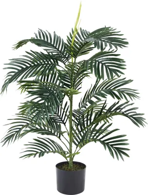 Produktbild von aplanta Künstliche Palme – Senara | 90 cm, für drinnen, Kunstbaum, wie echt, Allergiker geeignet, pflanzliche Dekoration Praxis, Office & Wohnzimmer