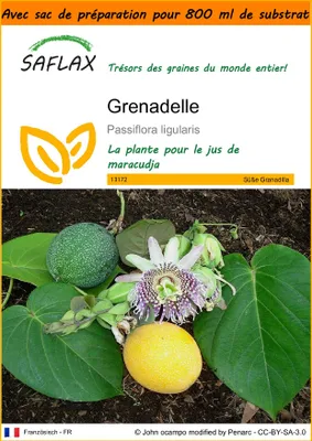 Image de SAFLAX Garden in the bag - Grenadelle - 20 graines - Passiflora
